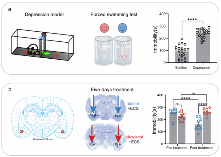 /crm/product/image/20260107/1767771441429028171.png 1767771441429028171.png